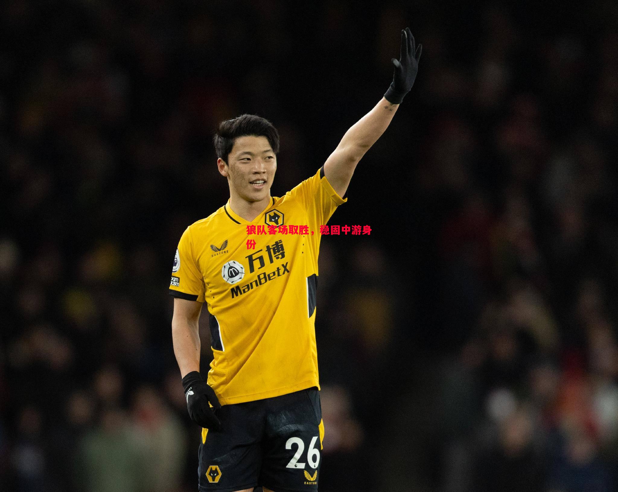 狼队客场取胜,稳固中游身份 狼队客场取胜,稳固中游身份