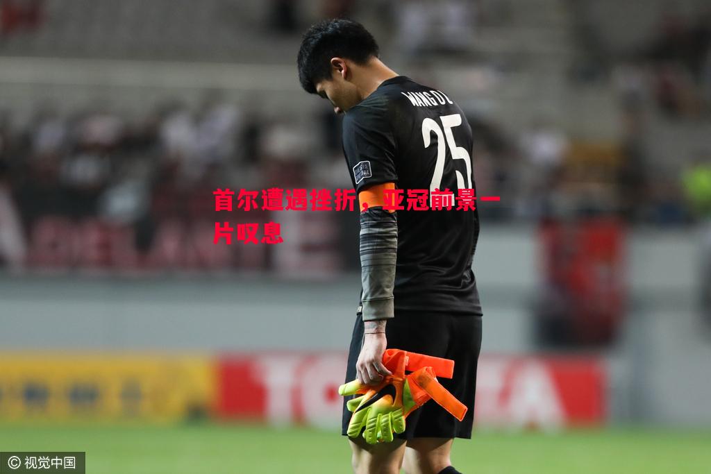 首尔遭遇挫折,亚冠前景一片叹息 首尔遭遇挫折,亚冠前景一片叹息