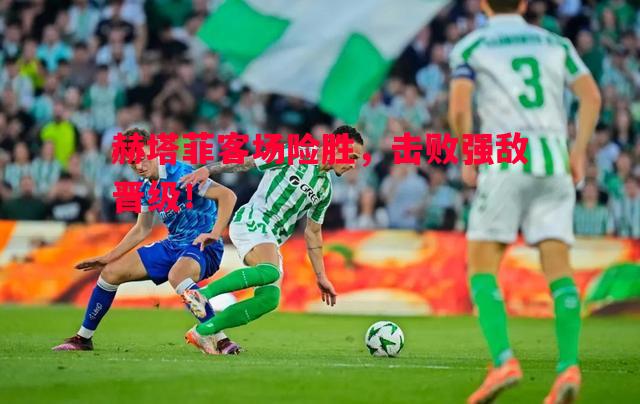 赫塔菲客场险胜,击败强敌晋级! 赫塔菲客场险胜,击败强敌晋级!