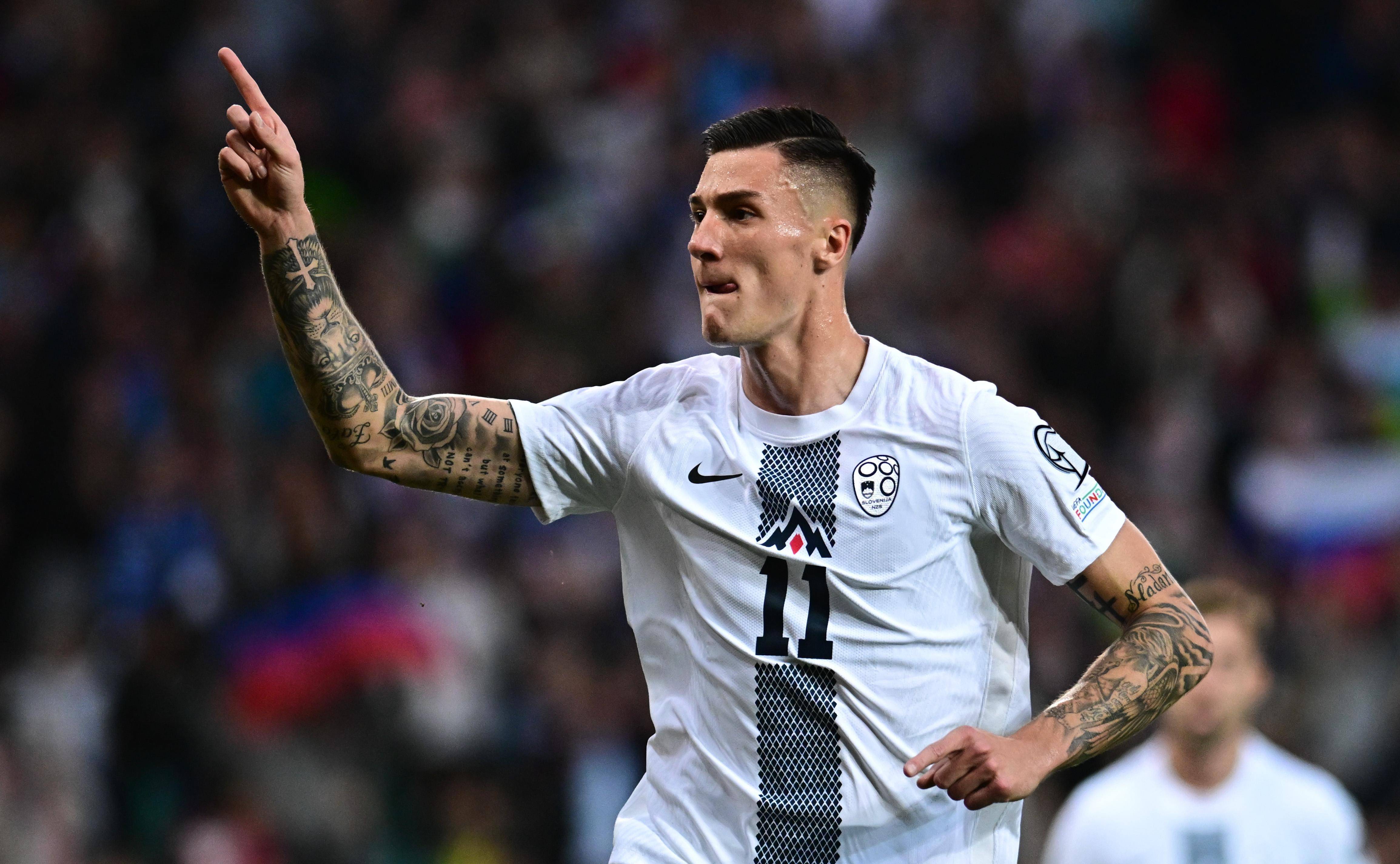 斯洛文尼亚队全胜，力夺欧预赛资格