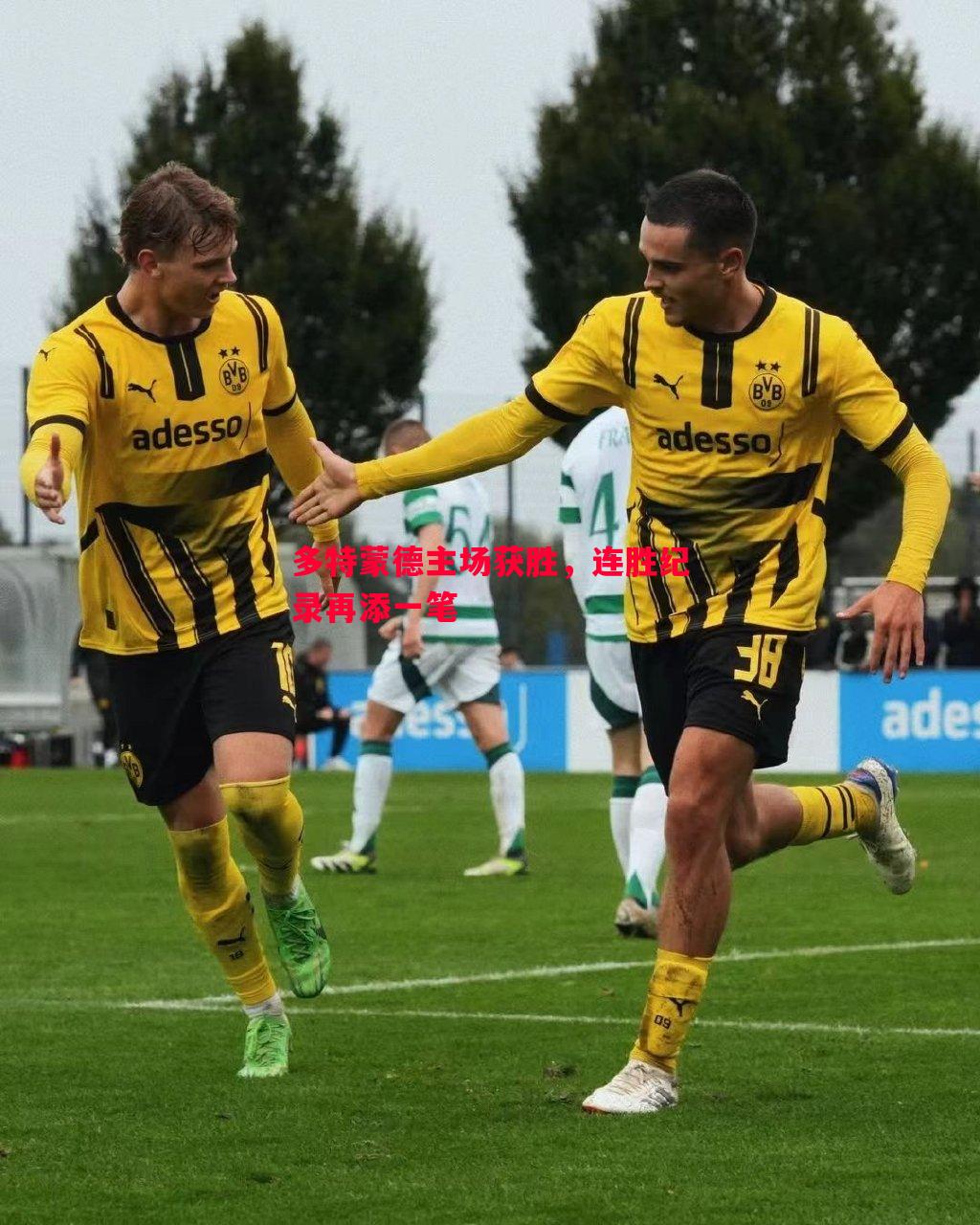 多特蒙德主场获胜,连胜纪录再添一笔 多特蒙德主场获胜,连胜纪录再添一笔