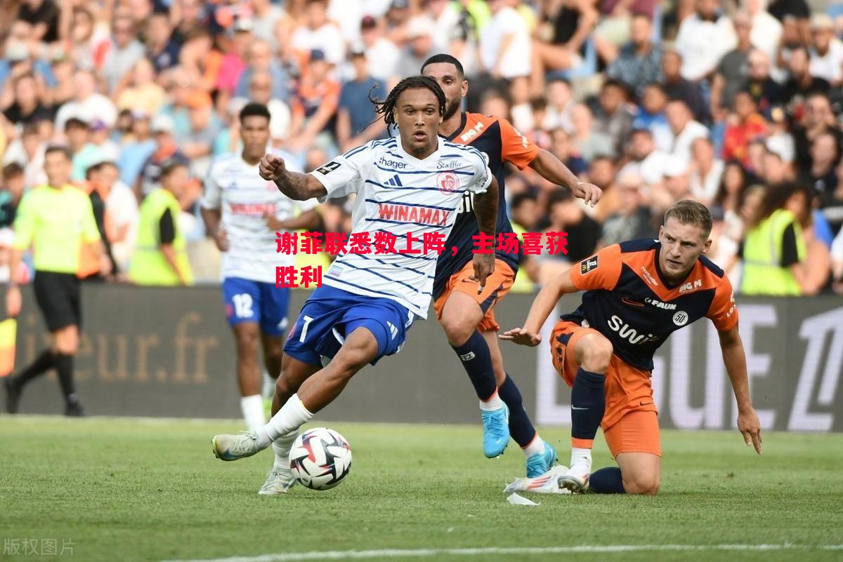德信app下载-谢菲联悉数上阵，主场喜获胜利