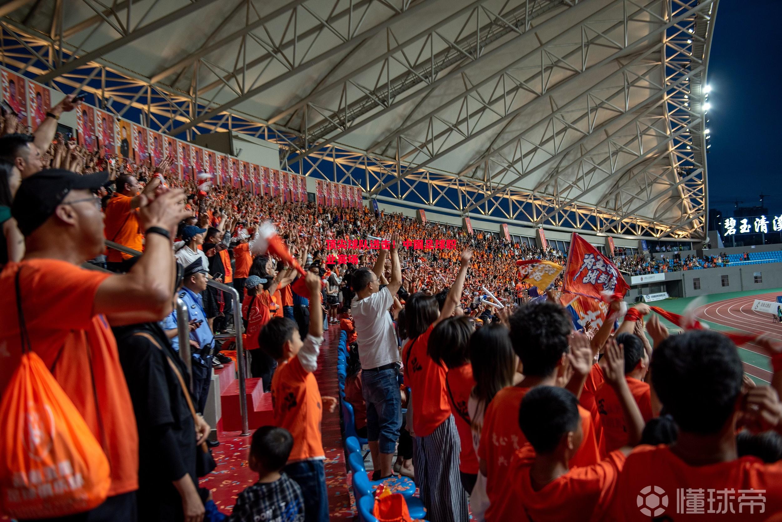 顶尖球队进击!中国足球职业赛场 顶尖球队进击!中国足球职业赛场