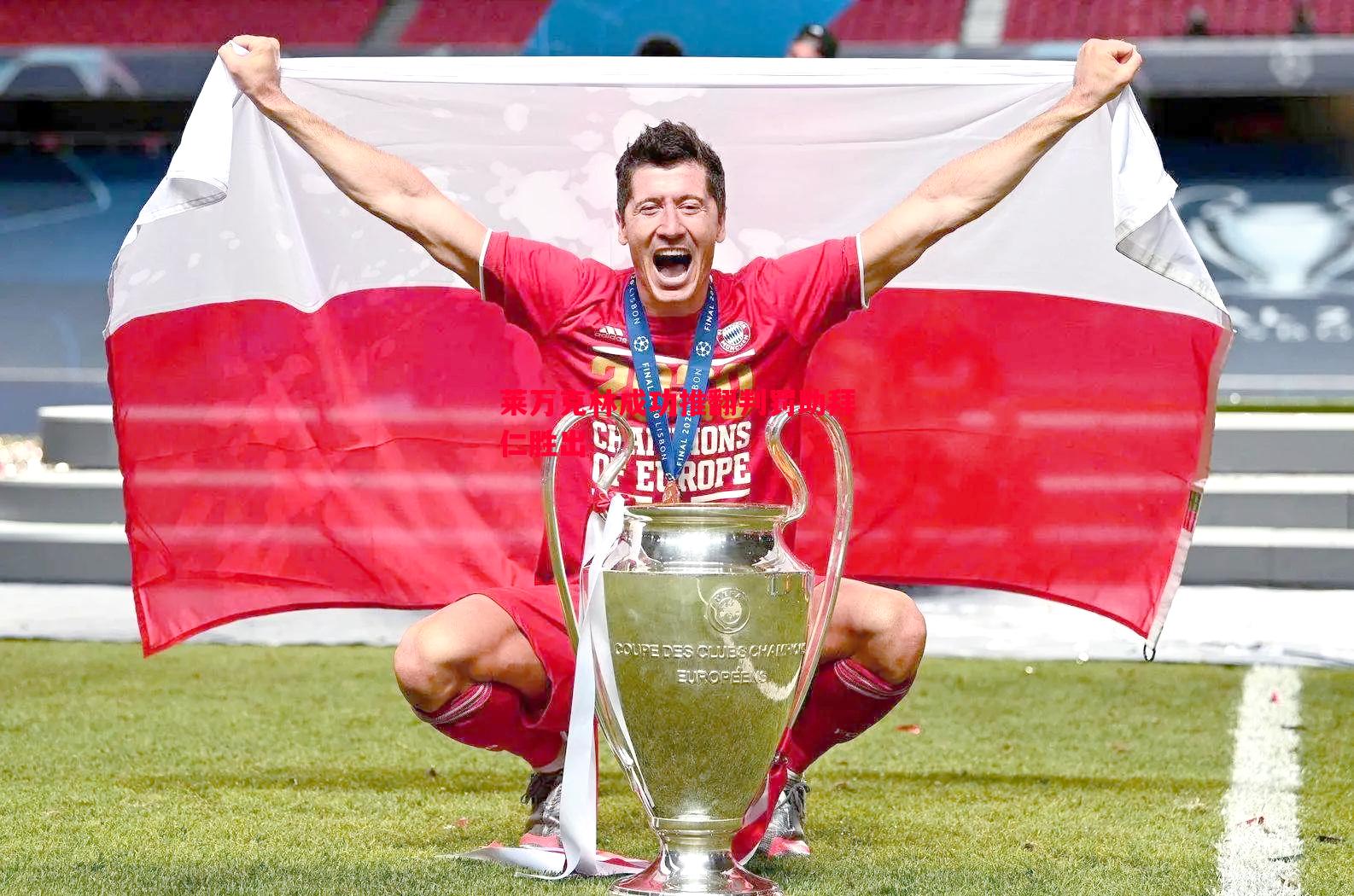 莱万克林成功推翻判罚助拜仁胜出 莱万克林成功推翻判罚助拜仁胜出