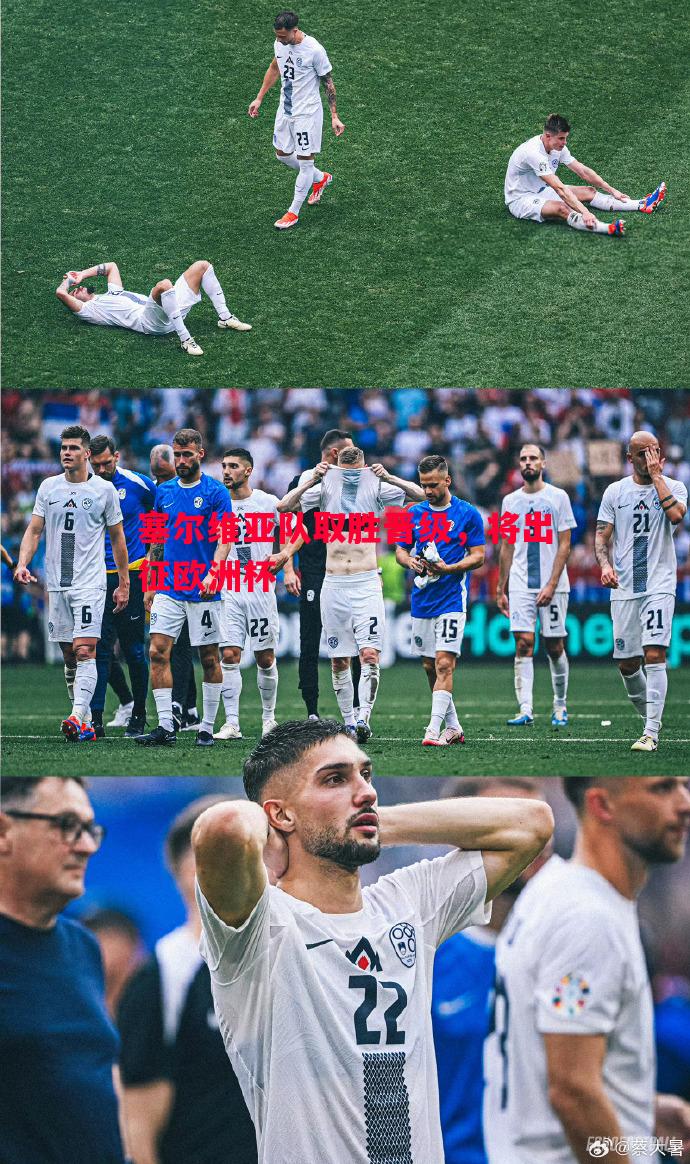 塞尔维亚队取胜晋级,将出征欧洲杯 塞尔维亚队取胜晋级,将出征欧洲杯