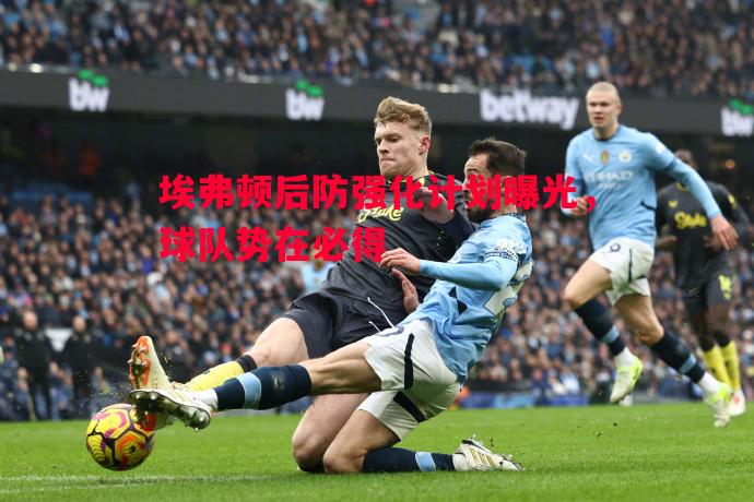 埃弗顿后防强化计划曝光,球队势在必得 埃弗顿后防强化计划曝光,球队势在必得
