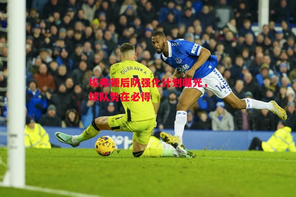 埃弗顿后防强化计划曝光,球队势在必得 埃弗顿后防强化计划曝光,球队势在必得