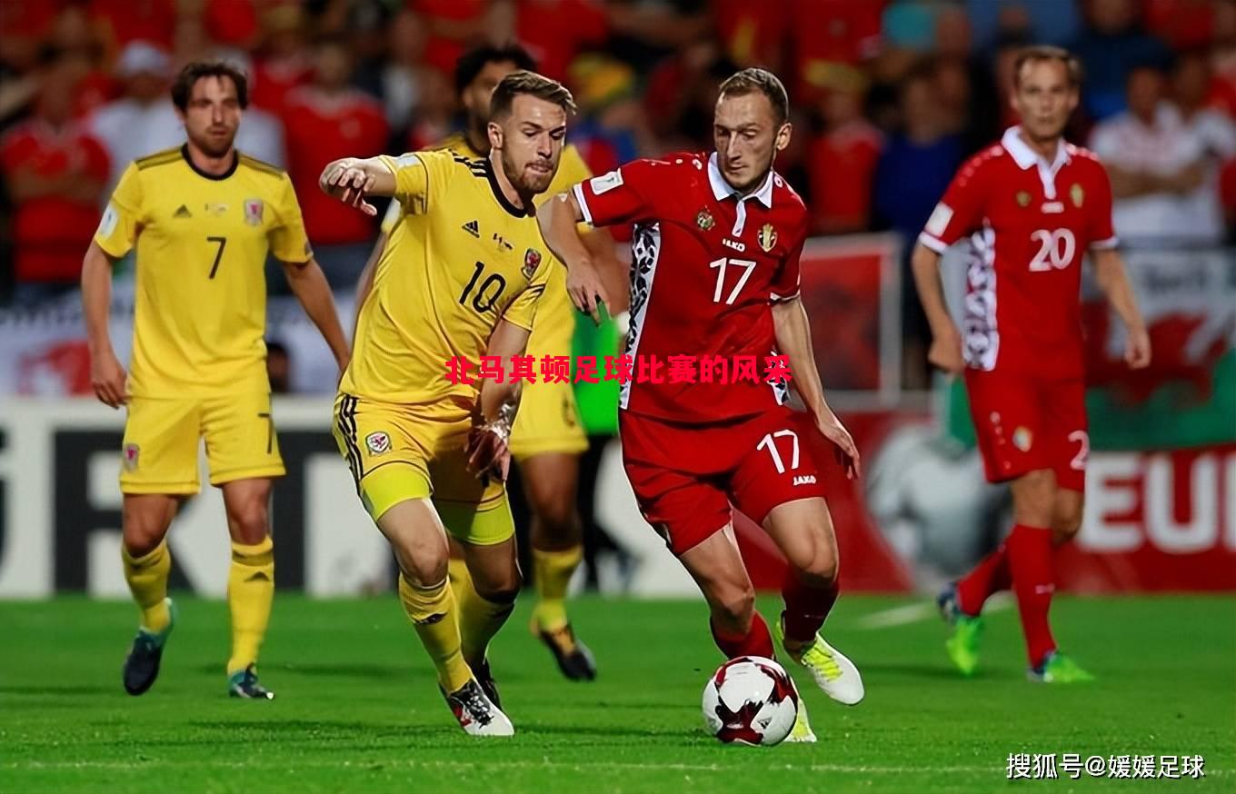 北马其顿足球比赛的风采 北马其顿足球比赛的风采