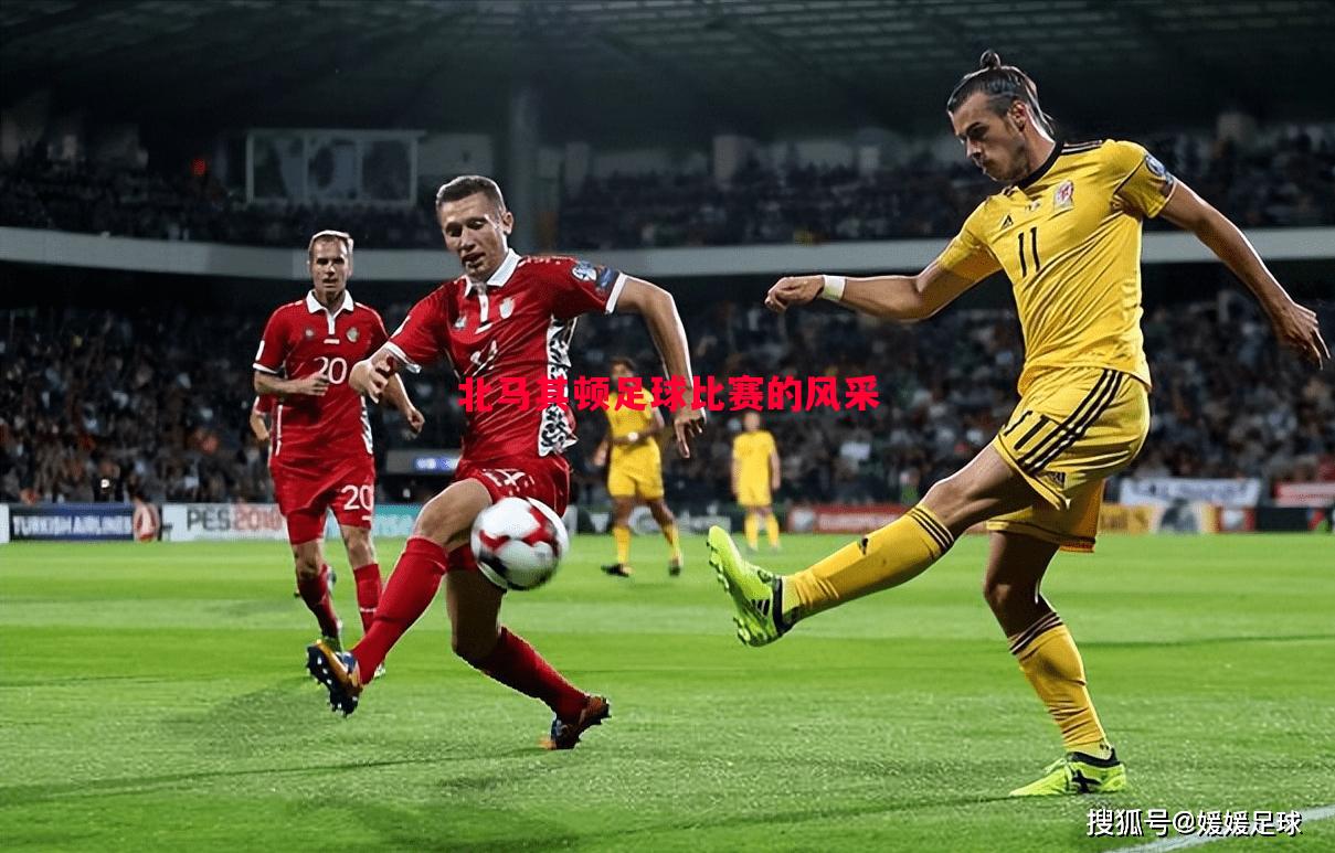 北马其顿足球比赛的风采 北马其顿足球比赛的风采