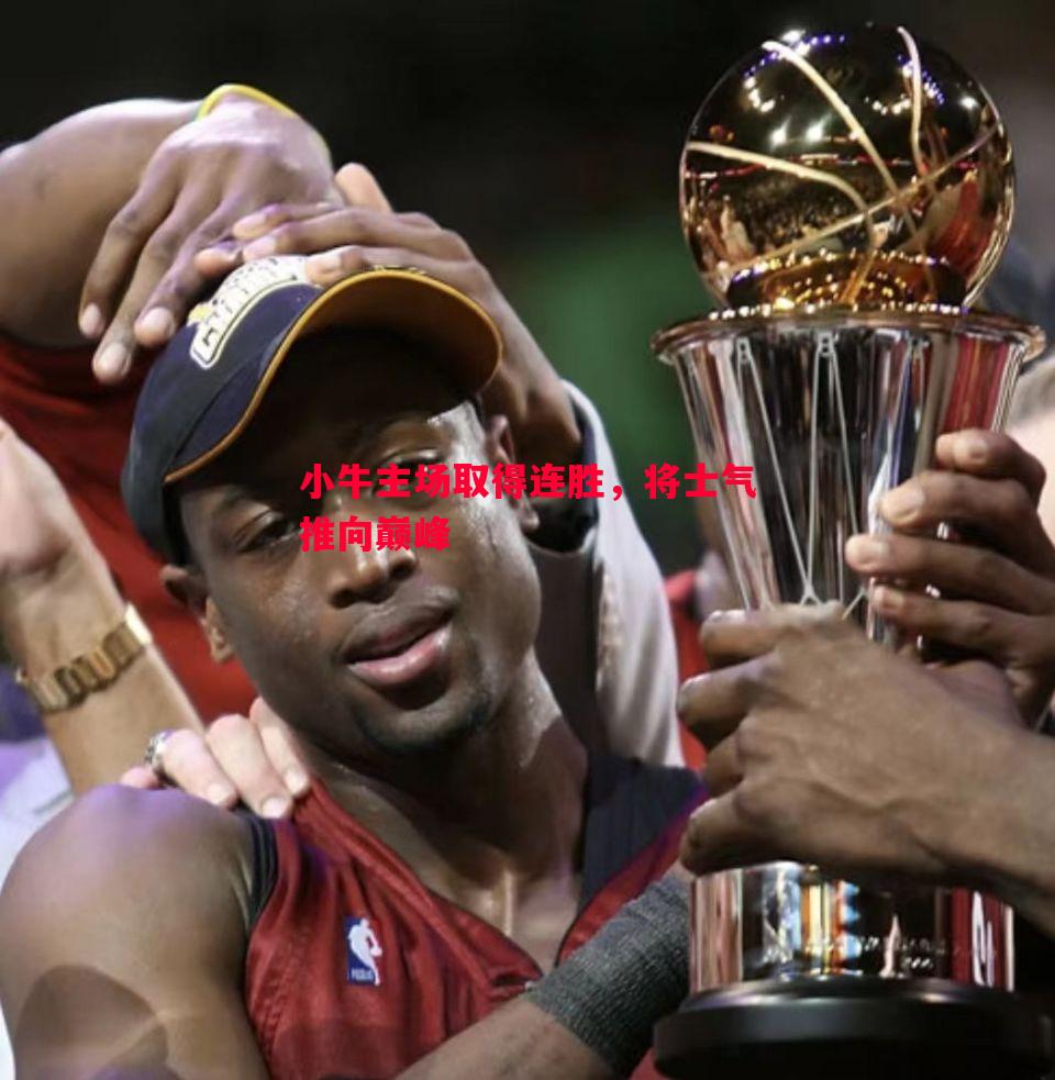 小牛主场取得连胜，将士气推向巅峰