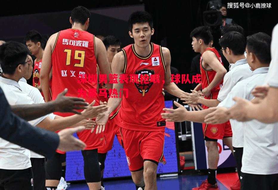 深圳男篮表现抢眼,球队成为黑马热门 深圳男篮表现抢眼,球队成为黑马热门