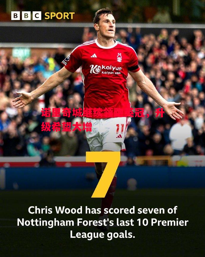 诺里奇城继续领跑英冠，升级希望大增