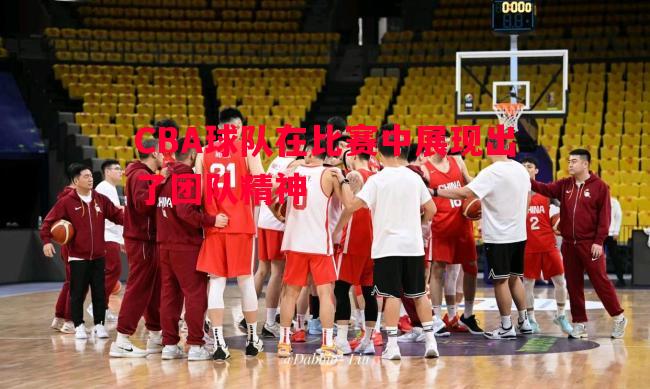 CBA球队在比赛中展现出了团队精神 CBA球队在比赛中展现出了团队精神