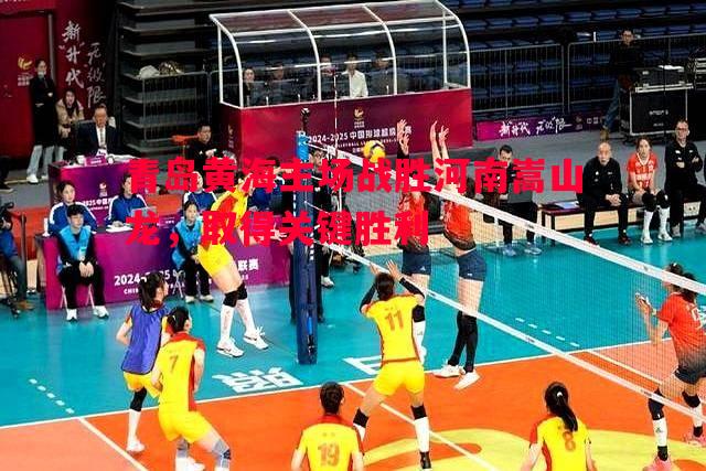 德信app下载-青岛黄海主场战胜河南嵩山龙，取得关键胜利